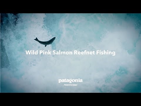 Wild Pink Salmon Reefnet Fishing | Patagonia Provisions