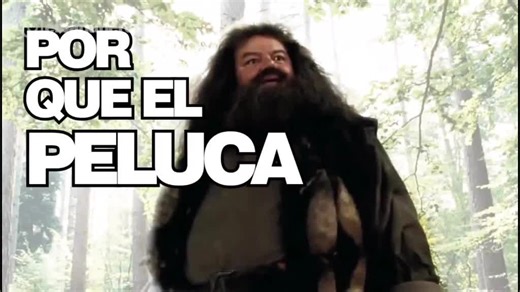 Peluca Sape Meme: The Fun Behind The Character