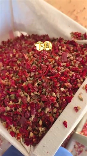 new model double layer chili pieces AI sorting machine/jasmine@ajlong.cn