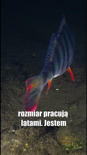 JAK DŁUGO ROŚNIE OKOŃ ???