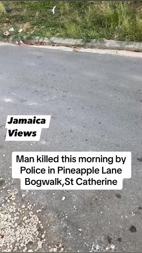Tragic Incident in Bogwalk, St Catherine: Police Fatally Shoot Man