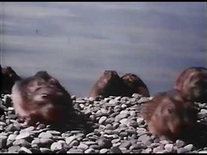 lemmings: Disney's White Wilderness