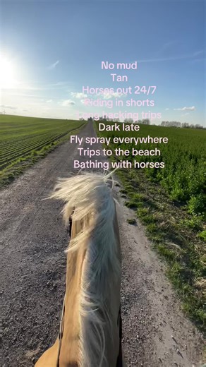 Why I Miss Summer with My Horses