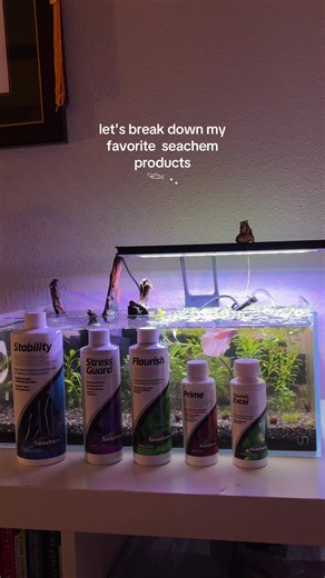 Essential Seachem Products for Healthy Aquatic Tanks