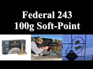 Federal .243 Soft Point