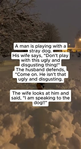 A man is playing with astray dog #anecdotas #funnyjokes #anecdote