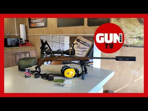 SHOOTING SKILLS: 22 Rimfire plinking