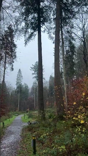 Discover Nature's Masterpiece: The Lake District