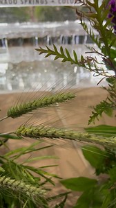The overwhelming electric sense of the past, present and future that encompasses the ProRodeo Hall of Fame & Museum of the American Cowboy induction ceremony is purely inspirational. I throughly enjoyed my time in Colorado Springs getting to meet my fellow state queens, hall of fame inductees and everyone who helps make this magical experience that is the ProRodeo Hall of Fame happen. Thank you for having me at your beautiful event. Walking through the exhibits could give anyone goose bumps bein