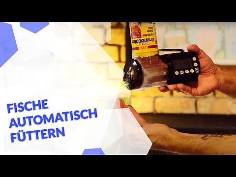 So kannst du deine Fische im Aquarium automatisch Füttern - der Futterautomat für deinen Urlaub