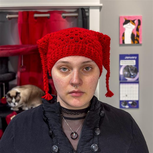 Melt the ICE Protest Handmade Crochet Jester Beanie - Etsy