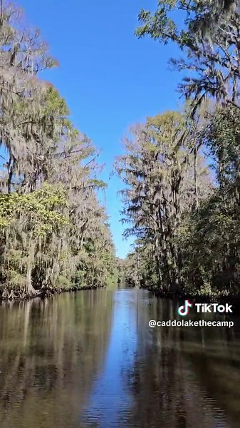 *Government Ditch on Caddo* Come stay at The Camp and get a taste of Caddo Lake! Link in bio! Getting duck blinds ready for duck season. #uncertaintx #texas #airbnb #thecamp #vrbo #sunny #lake #beautiful #outdoors #duckseason