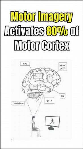 Motor Imagery Activates 80% of Motor cortex during Stroke Rehabilitation.