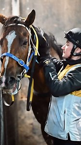 15 reactions |  Cranbourne Training Complex  Busuttin & Young Racing #teamFIRST | First Light Racing | Facebook