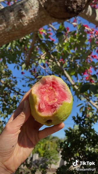 Watermelon Guava: A Delicious and Unique Fruit