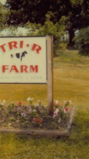 6.8K views · 12 comments | Dairy Farming in the 90’s — When Life on...