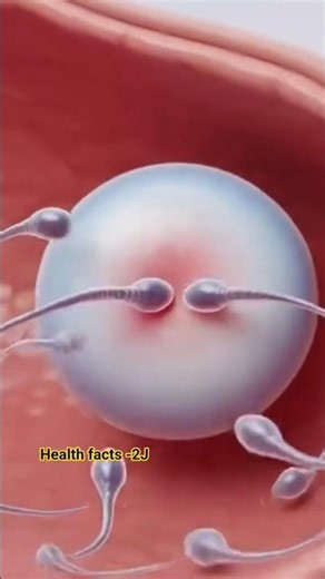 How Fertilization Works: Sperm Meets Egg – The Start of Pregnancy | #PositiveBirth"