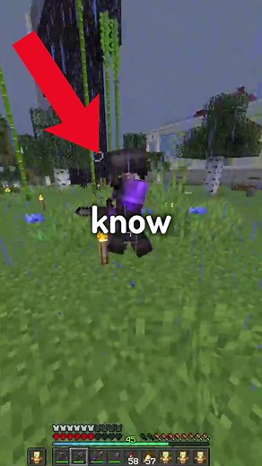 Uncovering the Identity of the Invisible Person in Minecraft