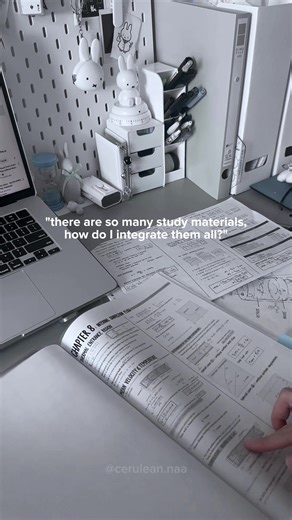 Effective Study Organization Tips for Students