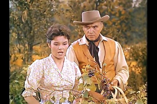 Bonanza-The Mill-Free Classic TV-Watch Full Episodes-Western