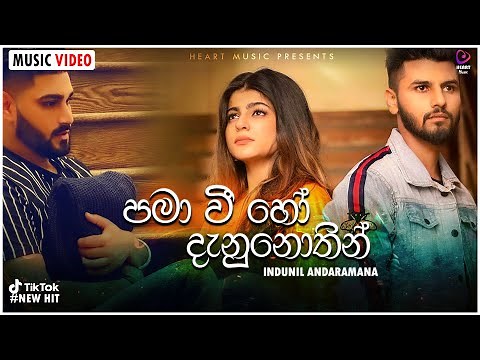 Pamawee Ho Danunothin (පමාවී හෝ දැනුනොතින්) - Indunil Andaramana Music Video 2021