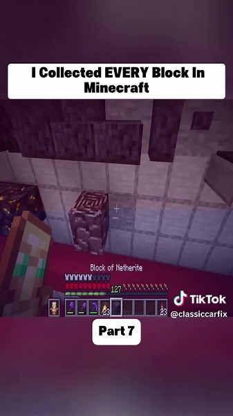 I Collected EVERY Block In Minecraft #minecraftusa #minecraftbuilding #minecrafttutorial #minecraftsurvival #Minecraft