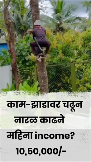 नारळ तोडणारा करोडपती? 😳👉 "महिन्याला 10.5 लाख कमाई!