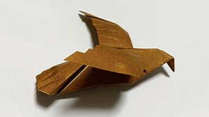 【 折り紙】 １枚で鷹の作り方✨How to make paper hawk✨#鹰#鷹#매#鳥#鷹#たか#鳥#ワシ#鷲#Eagle#bird#タカ#折り方#簡単#おりがみ#origami#摺紙#종이 – Origami hana’s channel