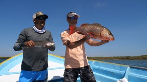 Tune into Livin the Dream with Capt. Jimmy Nelson and Fishing with Luiza today (Saturday) at 12 noon and Sunday at 7 am on the Sportsman Channel. This week Jimmy and Luiza will be catching broomtail grouper and a variety of snapper in the mangroves of Mag Bay in Baja Mexico. | Salt Life