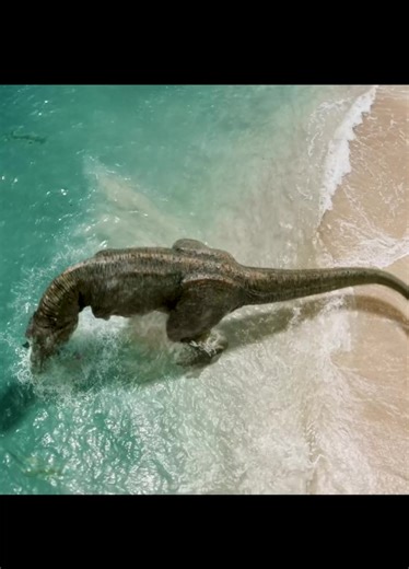 #Fyp #movie #film #Filmerklärung | the meg 2