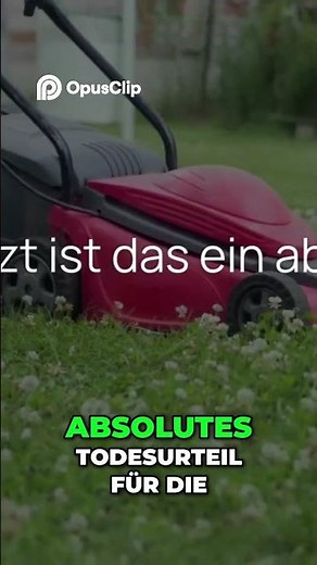 3 Rasen Fehler, die deinen Garten zerstören: So vermeidest du sie!