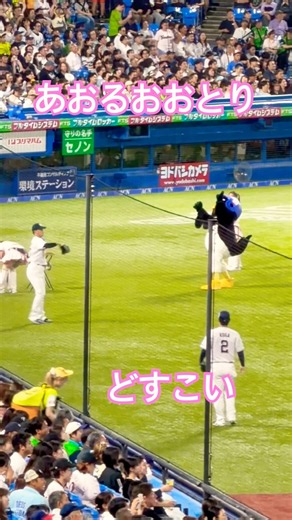 輪投げチャレンジで煽るつば九郎 #ヤクルト #スワローズ #つば九郎 #プロ野球