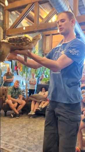 What is Clint's Reptile Room?