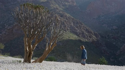 At first glance the ancient mountain desert called the Richtersveld in the extreme north west of South Africa may seem void of life. But once or maybe twice in a lifetime enough rain reaches this part of the world creating an event called a ‘SUPERBLOOM’ and the rocky landscape is transformed into a carpet of colour. The Richtersveld is one of the most bio diverse regions for plant life on earth. Join me as we discover the amazing plants that have adapted to this seemingly inhospitable place. #de