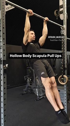 How To Perform Hollow Body Scapula Pull Ups