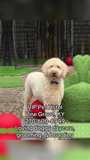 VIP Pet Hotel Vine Grove, KY 270-600-8949 Loving doggy day care, grooming, & boarding