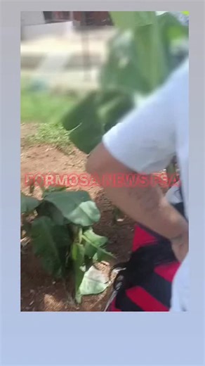 FORMOSA NEWS FSA 🗞️ on Instagram: "Atenção! Compressor explode no rosto e na perna de trabalhador no Jardim Califórnia em Formosa-Go. A informação é de que o trabalhador corre grande risco de ter a perna amputada."