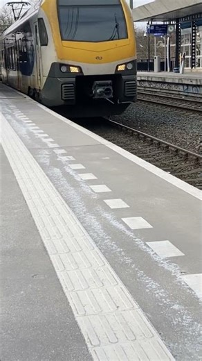 Flirt🙃#music#trainspotting