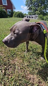 38K views · 8.9K reactions | Hansel was on death row and we managed...