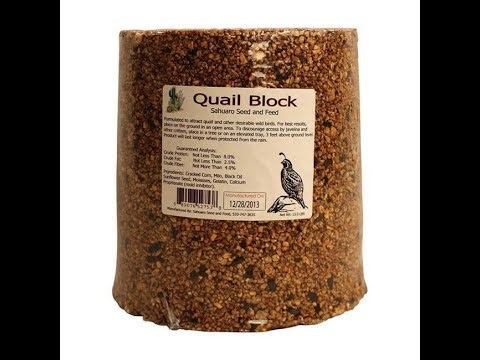 Costco Quail Seed Block - an Experiment