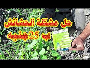 The most powerful weed killer and the ultimate solution to eliminate broadleaf weeds☝️☝