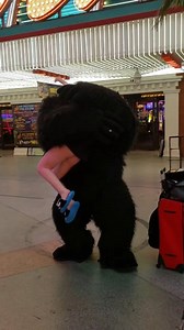 779 reactions · 31 shares | Fremont street las vegas night scenes Raw&unfiltered #lasvegas #downtown #fremontstreet #traveltips | J Cortez Traveler | Facebook