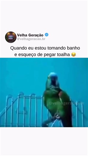 Velha Geração 📺 on Instagram: "Os CDs chegaram no Brasil em 1985 e mudaram para sempre a forma de ouvir música. Até então, a fita K7 era a queridinha das gerações! O primeiro celular surgiu em 1983, mas só quem tinha muito dinheiro poderia pagar pela enorme “tijolada”! O Game Boy foi lançado em 1989 pela Nintendo e se tornou um dos brinquedos mais desejados, revolucionando o mundo dos videogames portáteis. 🎮 Mortal Kombat foi lançado em 1992, criando um verdadeiro fenômeno de debates (e contro