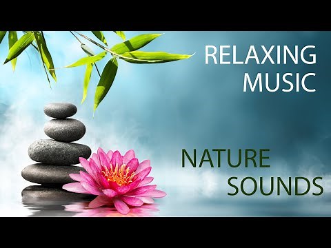 Meditation Music and Nature Sounds - Forest Stream Scene