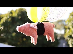 Flying Pig Song (Porky with Balloons)