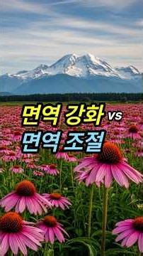 면역력 올리기 전에 꼭 봐야 할 영상 | 면역강화와 면역조절 #면역력 #에키네시아 #피카오프레토 #면역균형 #면역조절 #감기예방 #비염 #알레르기 #NK세포 #장건강 #건강정보