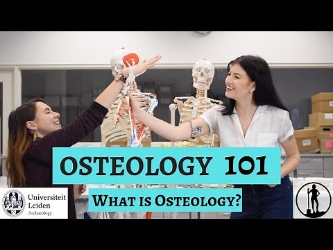 OSTEOLOGY 101: What is Osteology? Part 1 of 5 | Dig it With Raven X Leiden University Archaeology