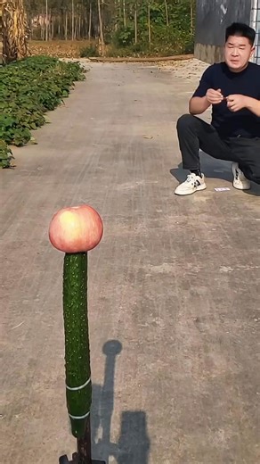 Test #Mobile phone rangefinder Flying#_10 | Thakorsakotarwada