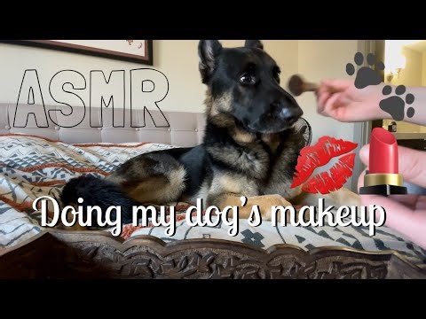 ASMR Doing my dog’s makeup 💄🐾💋
