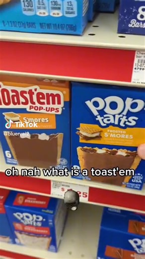 Knock off products are great (Fr toast-em probably taste like actual toast or something)